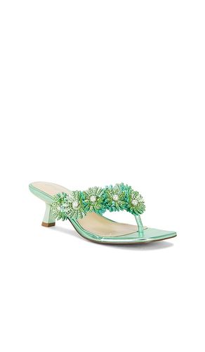 SANDALES LESLI en . Taille 6. Also en 6.5, 7, 7.5, 8, 8.5 - Steve Madden - Modalova
