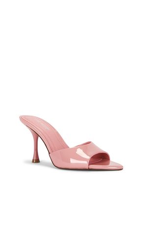 SANDALES ELSBETH en . Taille 6. Also en 6.5, 7.5, 8, 8.5, 9, 9.5, 10 - Steve Madden - Modalova