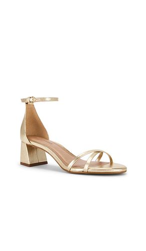 SANDALES RAE en . Taille 6. Also en 8, 8.5, 9, 9.5, 10 - Steve Madden - Modalova
