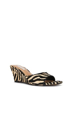 SANDALES SELESTE en ,. Taille 5.5. Also en 6, 7.5, 8, 8.5, 10 - Steve Madden - Modalova