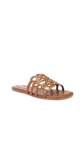 SANDALES LOTUS en . Taille 6. Also en 6.5, 7, 7.5, 8.5, 9.5 - Steve Madden - Modalova