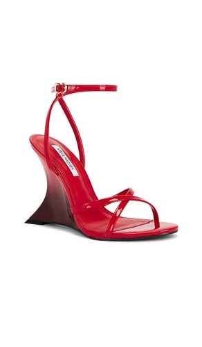 SANDALES LAYERS en . Taille 6. Also en 7 - Steve Madden - Modalova