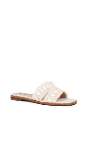 SANDALES HADYN en . Taille 6. Also en 6.5, 7.5, 8, 8.5, 10 - Steve Madden - Modalova