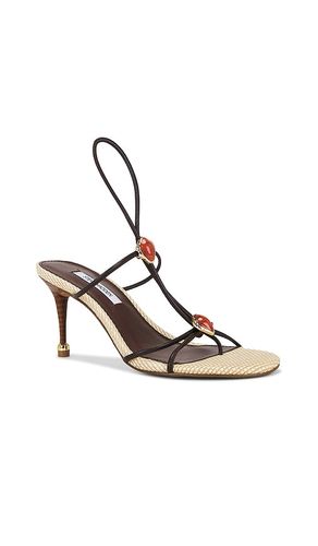 SANDALES AVEC LANIÈRES RAMOS en . Taille 6. Also en 7, 8, 8.5, 9.5 - Steve Madden - Modalova