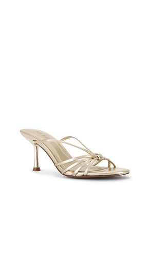 SANDALES EDNA en . Taille 6. Also en 6.5, 7.5, 8.5, 9.5, 10 - Steve Madden - Modalova