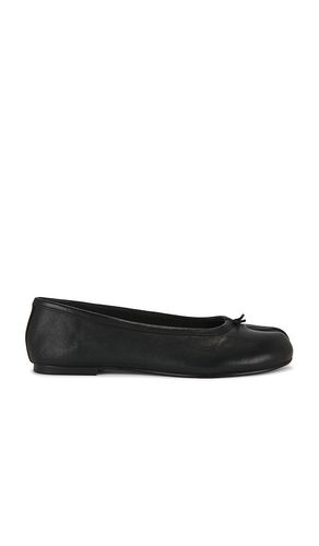 PLAT CALICO en . Taille 6. Also en - Steve Madden - Modalova