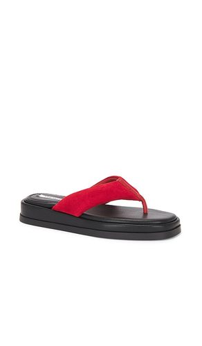 SANDALES BELLA en ,. Taille 6.5. Also en - Steve Madden - Modalova
