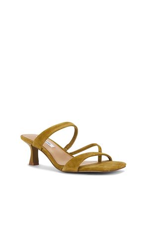 SANDALES AJAY en . Taille 6.5. Also en 7, 7.5, 8, 8.5, 9, 9.5, 10 - Steve Madden - Modalova
