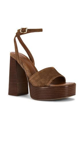SANDALES FLORIA en . Taille 10. Also en 8.5 - Steve Madden - Modalova