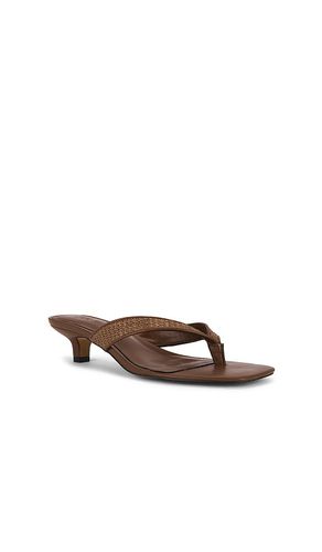 SANDALES TRACIE en . Taille 6. Also en 8.5 - Steve Madden - Modalova