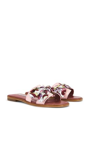 SANDALES HADYN SCARF en . Taille 6. Also en 6.5, 7, 7.5, 8, 8.5, 9, 9.5 - Steve Madden - Modalova