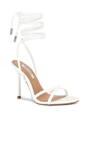 CHEVILLE SANGLÉE NERIE en . Taille 10. Also en 6, 6.5, 7, 7.5, 8, 8.5, 9, 9.5 - Steve Madden - Modalova