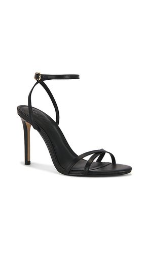 ESCARPINS JYPSEY en . Taille 7. Also en 7.5, 8, 9.5, 10, 5.5, 8.5 - Steve Madden - Modalova