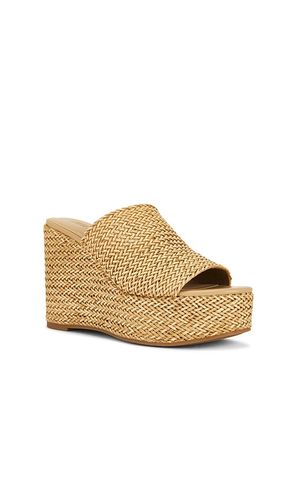 SANDALES CASSI en . Taille 10. Also en 8, 8.5, 9, 9.5 - Steve Madden - Modalova