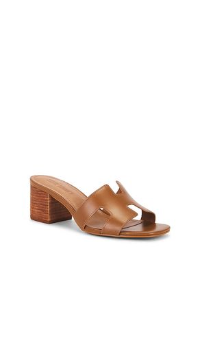 SANDALES HADES en . Taille 10. Also en 8.5, 9.5 - Steve Madden - Modalova