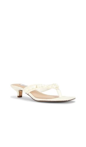 SANDALES À TALONS TRACIE SHELL en . Taille 5.5. Also en 6, 6.5, 7, 7.5, 8, 8.5, 9, 10 - Steve Madden - Modalova