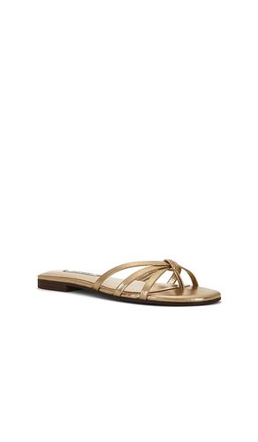 SANDALES CALISSI en . Taille 6. Also en 6.5, 7, 7.5, 8, 8.5, 9.5, 10 - Steve Madden - Modalova