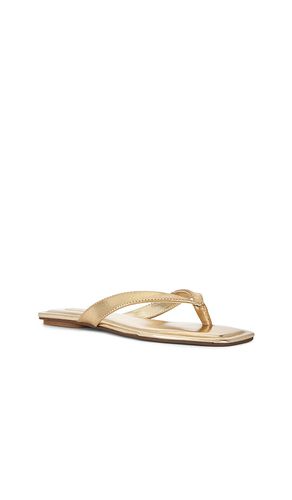 SANDALES TRELLA en . Taille 5.5. Also en 6, 6.5, 7, 7.5, 8, 8.5, 9, 9.5, 10 - Steve Madden - Modalova