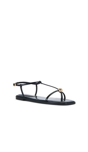 SANDALES RITZY en . Taille 5.5. Also en 6, 6.5, 7, 7.5, 8, 8.5, 9, 9.5, 10, 11 - Steve Madden - Modalova