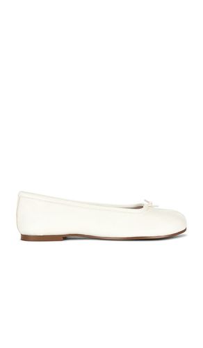 PLAT CALICO en . Taille 6. Also en 6.5, 7, 7.5, 8, 8.5, 9, 9.5, 10 - Steve Madden - Modalova