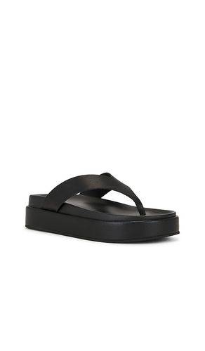 SANDALES JETTA en . Taille 37. Also en 38, 39, 40, 41 - Tony Bianco - Modalova