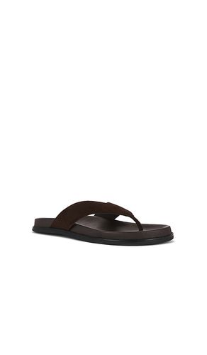 TONGS LOOP en . Taille 37. Also en 36, 38, 40, 41 - Tony Bianco - Modalova
