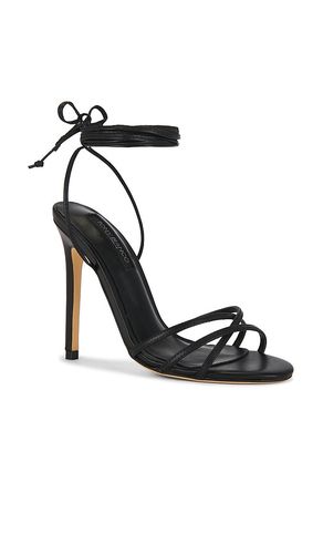 SANDALES AVEC LANIÈRES KAZ en . Taille 6. Also en 6.5 - Tony Bianco - Modalova