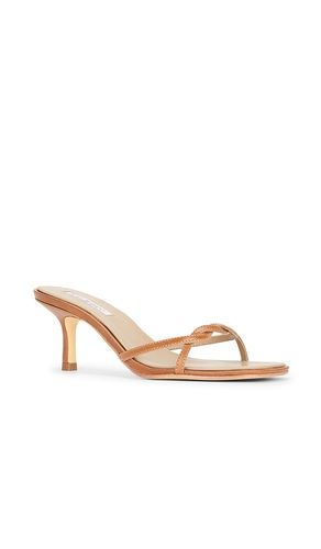 SANDALES À TALONS AMELIA en . Taille 6. Also en 5, 8.5 - Tony Bianco - Modalova