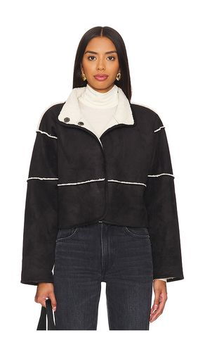 MANTEAU TEDDY KELLY in . Size M, S, XL, XS - Velvet by Graham & Spencer - Modalova