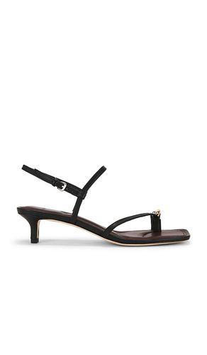 ESCARPINS POLLI KITTEN en . Taille 6. Also en 6.5, 7, 8, 8.5 - Vince - Modalova