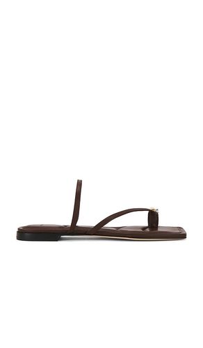 SANDALES POLLI en . Taille 6. Also en 6.5, 7.5, 9, 9.5, 5, 5.5 - Vince - Modalova