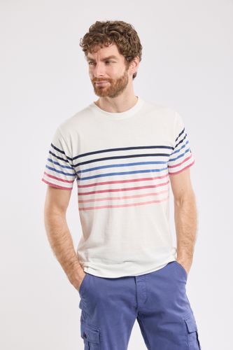 T-shirt rayé - coton léger - ARMOR-LUX - Modalova