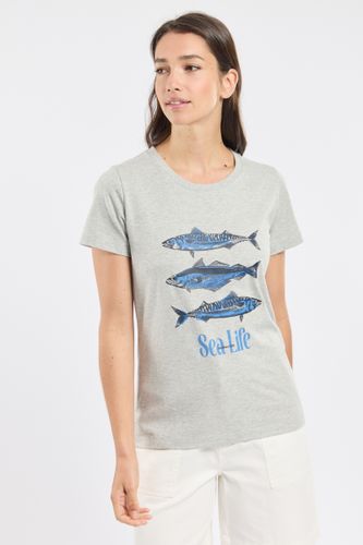 T-shirt sérigraphié CYBAILLE - coton - BERMUDES - Modalova