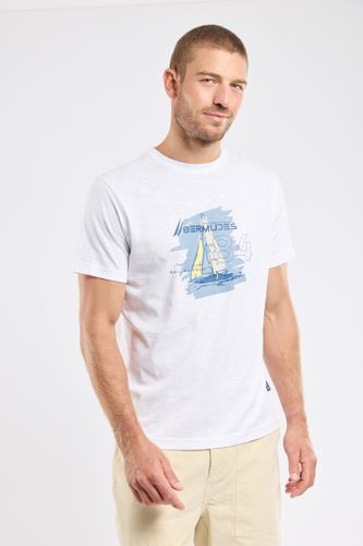 T-shirt sérigraphié VEHOURA - coton léger - BERMUDES - Modalova