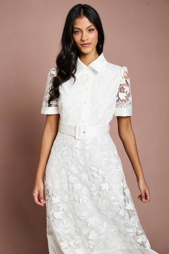 Robe Midi Chemise en Dentelle avec Finitions Satin Petite | Taille 36 - Coast - Modalova