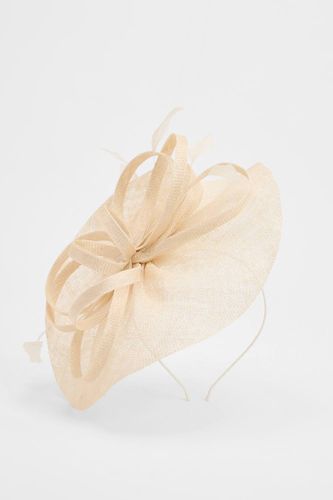 Bibi Disque Relevé Avec Boucles Et Plumes - Coast - Modalova