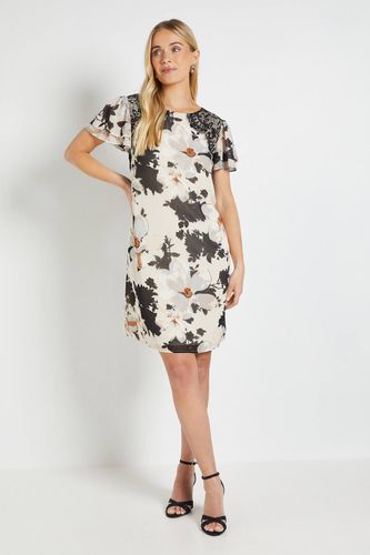 Robe Droite À Manches Volantées En Dentelle Petite | Taille 48 - Wallis - Modalova