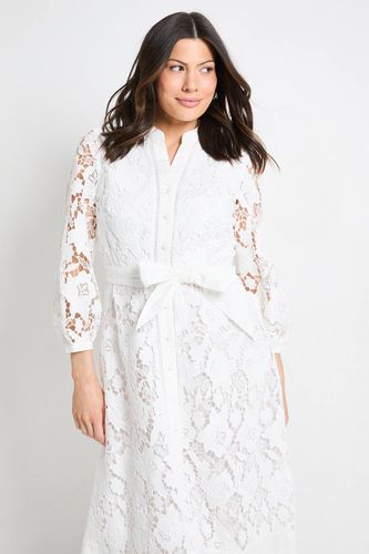 Lace Insert Midi Shirt Dress | Taille 48 - Wallis - Modalova