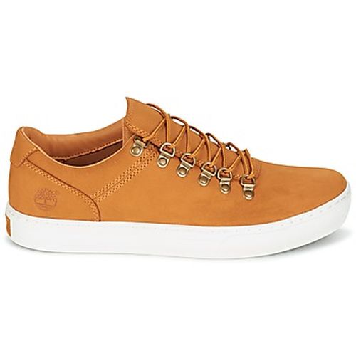 Baskets basses ADV 2.0 CUPSOLE ALPINE OX - Timberland - Modalova