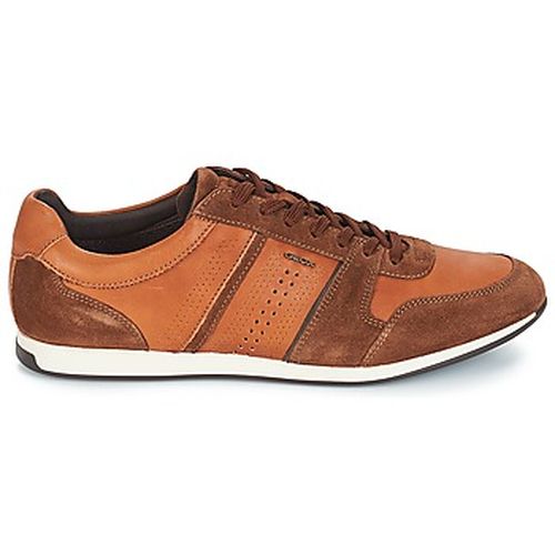 Baskets basses Geox CLEMENT - Geox - Modalova