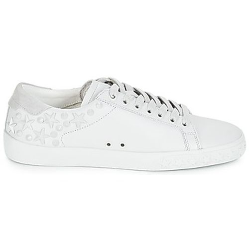 Baskets basses Ash DAZED - Ash - Modalova