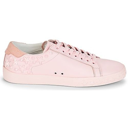 Baskets basses Ash DAZED - Ash - Modalova