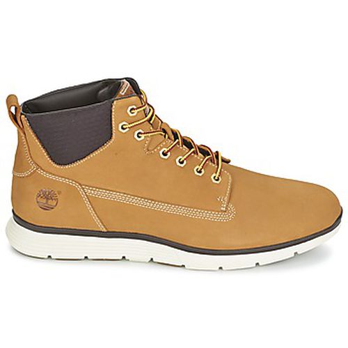 Baskets montantes KILLINGTON CHUKKA WHEAT - Timberland - Modalova