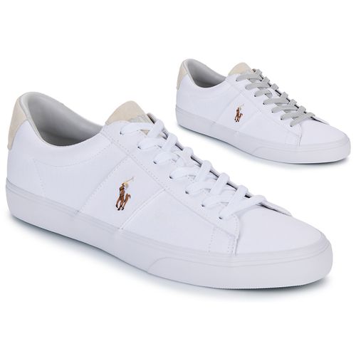 Baskets basses SAYER - Polo Ralph Lauren - Modalova