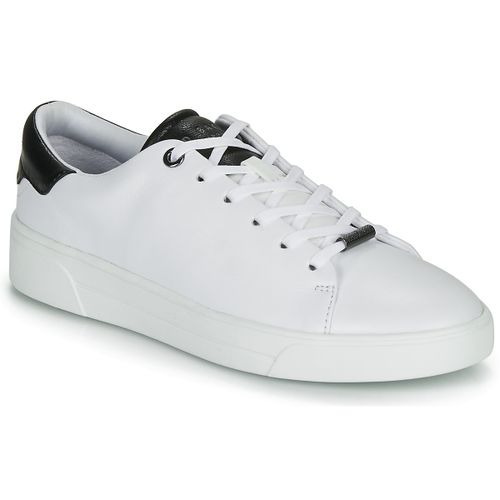 Baskets basses Ted Baker ZENIB - Ted Baker - Modalova