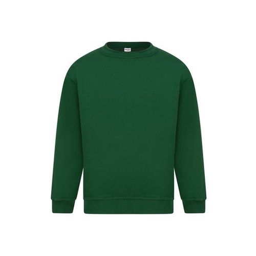 Sweatshirts Sterling - Absolute Apparel - Modalova