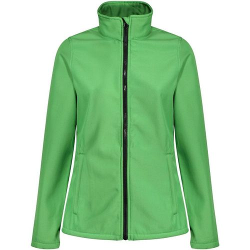 Blouson Regatta Ablaze - Regatta - Modalova