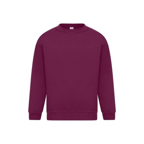 Sweatshirts Sterling - Absolute Apparel - Modalova