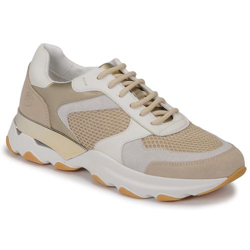 Baskets basses Lumberjack SWAY - Lumberjack - Modalova