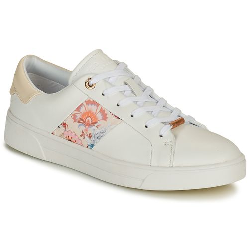 Baskets basses Ted Baker HUDEP - Ted Baker - Modalova